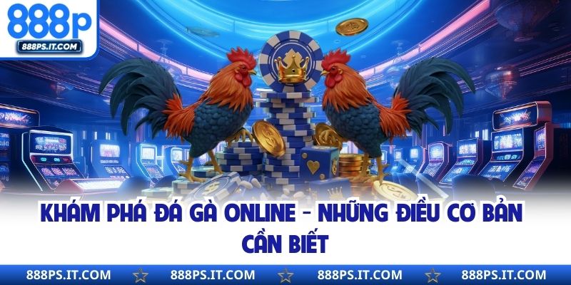 Khám phá đá gà online - Những điều cơ bản cần biết